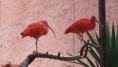 /album/fenykepgaleria/img-1955-jpg/